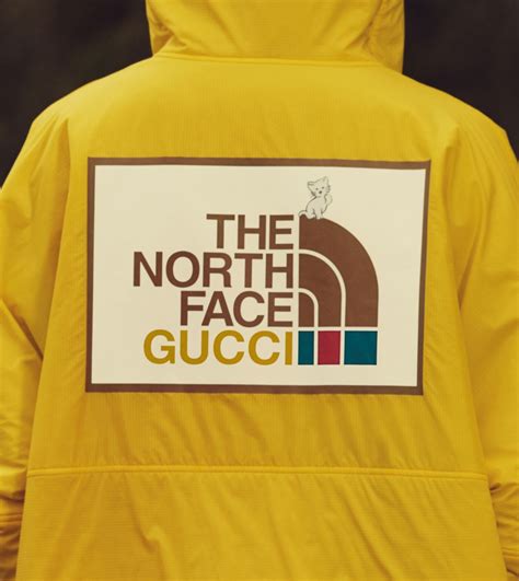 the north face gucci 2020|north face vs gucci.